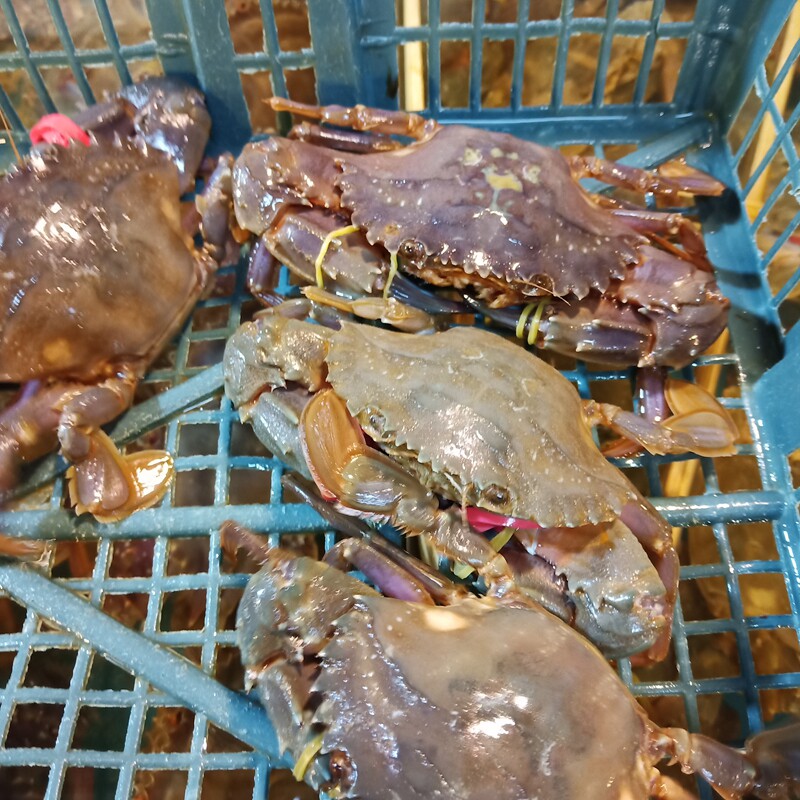 社区团购,一场线上线下融合的商业革命