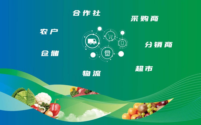生鲜批发行业的成功秘诀:深度解析与实战攻略