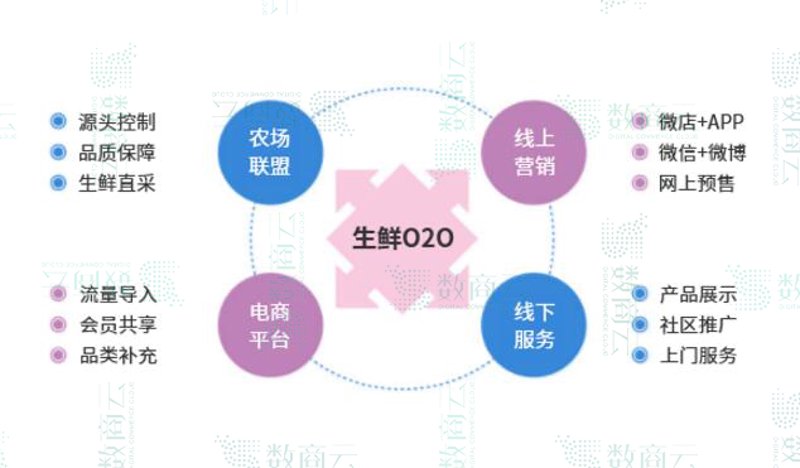 社区团购:如何在激烈竞争中脱颖而出